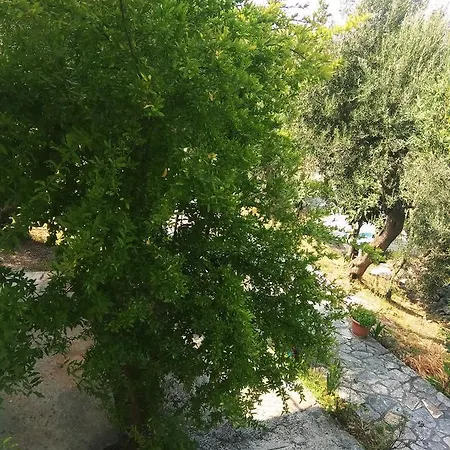 Barbara's Sea View Holiday home Benitses (Corfu)